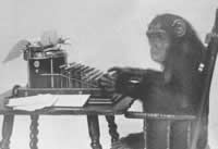 monkey typing